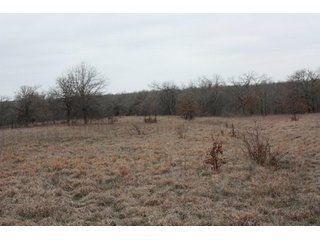 Property photo 24 - Creek County - Oklahoma Land Auction, 1,107 Acres 2 Tracts